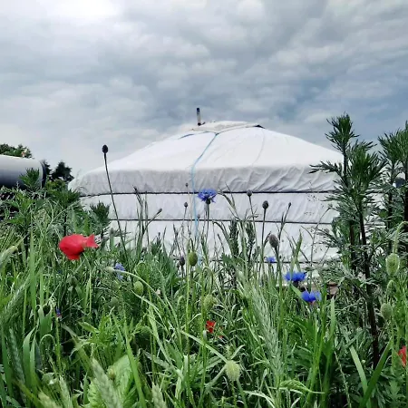 Idyllische Jurte In Der Sachsischen Schweiz Luxury tent